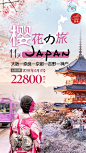 日本樱花