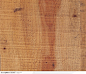 木纹板材机理效果-漂亮的树纹图片素材下载，现在加入素材公社即可参与传素材送现金活动