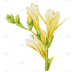 西红柿577采集到插画素材
