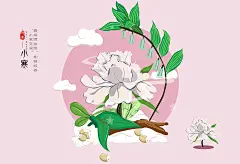怡生（24节气中药材养生）_俊慧哦！_插画图片 - 致设计