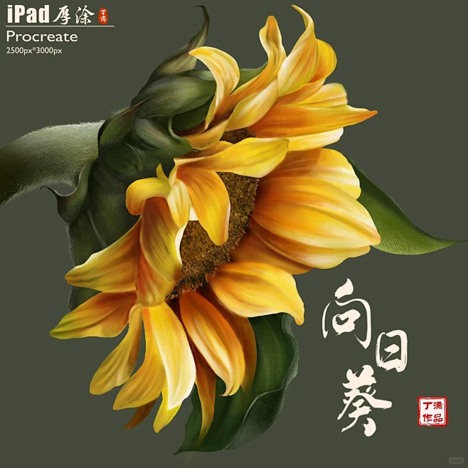 iPad向日葵