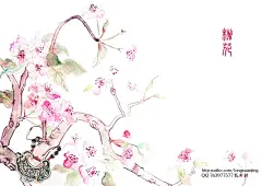 原创作品：花开好时节  
