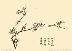 光Orion采集到芥子园画谱
