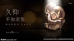高端地产 开盘 铜马 金色花
