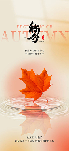vWW采集到海报