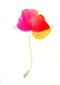 Summer Day original flower watercolor painting by karenfaulknerart