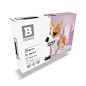 bc_corgi_1_2400x.jpg (2000×2000)