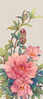 晓泊——花签13芍药