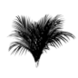GSG_Gobos_Plants_Palm_02