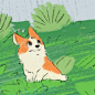 @pdohk Photo by 피도크 on May 24, 2022. May be an image of dog.