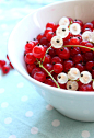 by Pierre Joseph Redouté

图上植物是 Ribes ，即 茶藨子属 的植物,英文统称为currant。说茶藨子大家可能不熟悉，但是 茶藨子属的果子统称【醋栗】，其中有一个果实黑色的种叫【黑穗醋栗】，又叫做【黑加仑】(是 blackcurrant 的音译），著名的黑加仑，其实就是这东西的亲戚。 北方的同学也许吃过“灯笼果”或者“山樱桃”，一种极酸的小野果，那也是 茶藨子属东西的浆果。 总之,currant一般是 口感脆爽,味道很酸,完全是酸掉牙,一想就流口水那种...但是其中有一种叫