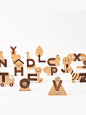 Oioiooi Alphabet Block Set - Moon Picnic