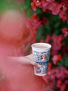 你猜我才不猜采集到霸王茶姬