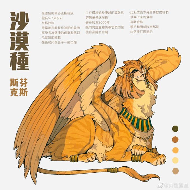 这一波都是大猫猫 ​​​​