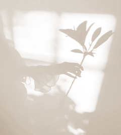 靳文彬采集到光与影