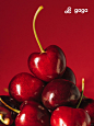 gaga新品 | 碰碰车厘子！Cheers! Cherries!