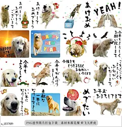 @飞天胖虎 line贴图表情包贴纸[编号1837689]Golden Retriever [Winter]  Cute golden retriever stickers.