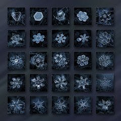 其实你不是采集到雪花