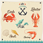 Vector set of seafood  : Vector set of seafood 