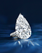 @海瑞温斯顿HarryWinston 的个人主页 - 微博