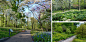 https://oss.gooood.cn/uploads/2022/03/04-2020-asla-general-design-award-of-honor-the-native-plant-garden-at-the-new-york-botanical-garden-ovs.jpg