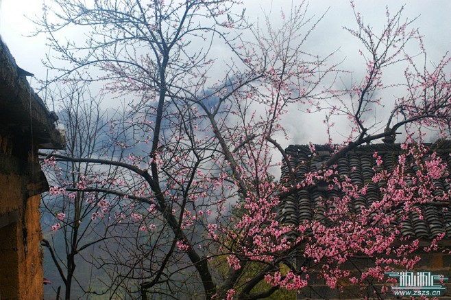 烟雨的搜索结果_百度图片搜索