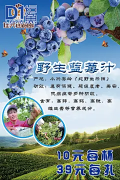 蓝莓