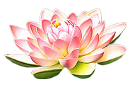 【甄嬛传·福利】福利第二波>>>>免扣P...