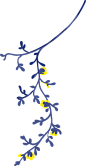 HATSUMO PATTERN