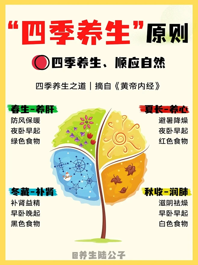 四季养生法｜顺时养生健康一整年