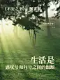 情感文案语录小红书封面