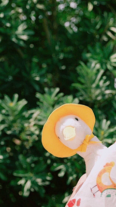 伊姐很忙采集到美图