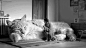 [#GIF#Huge Cat] 