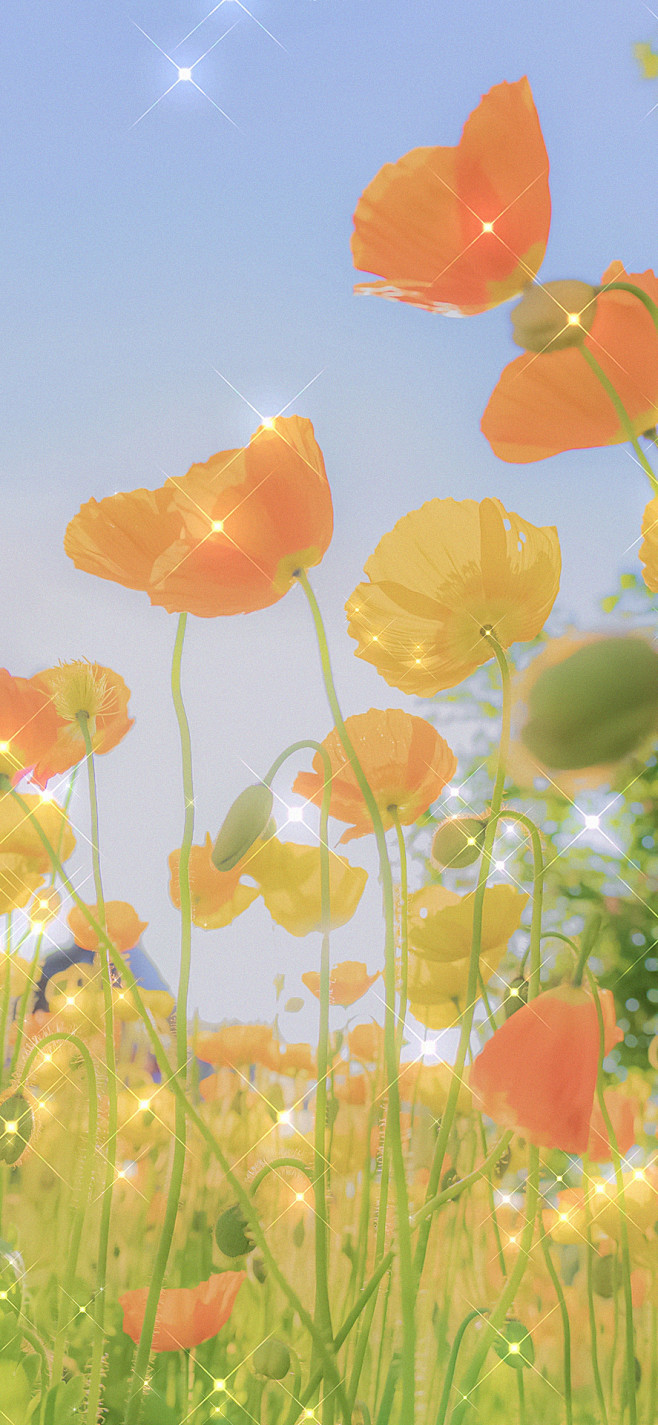 #摄影（花）#