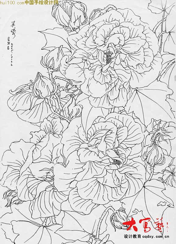 花白描的搜索结果_百度图片搜索