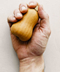 Row 7 Seed Company : An organic seed company built by chefs, farmers and plant breeders.