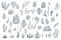 海鲜海产动物包装线稿鱼虾蟹手绘海洋生物AI+psd设计素材 (4)
