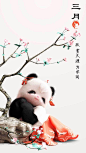 #首个中国大熊猫国际形象#
我酸了 ​​​​