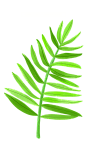 [ 乐分享 ] PNG高清免植物
