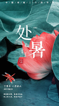 弄啥腻采集到节气