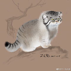 柳三姑娘采集到豹子