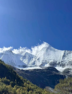 熊默默采集到Nature