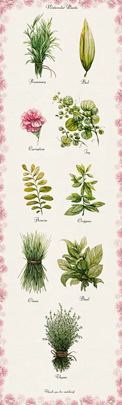 水彩花卉@花田错A
一个专注高清设计参考(创意合成|影视海报|小景合成|电商设计|平面设计|各类手绘)和大图素材整理分享花瓣号，素材大部分宽度为1920至3840PX，如果您是做界面设计、网店设计、新媒体运营、微信微博公众号运营等，这里的图片非常适合您，不管您做设计参考或者局部做素材，图片细节清晰度甚好——获取更多优质高清素材、设计参考请关注@花田错A
