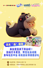 @元梦之星 的个人主页 - 微博