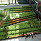 landescape 边坡 高差 台地 草阶 石阶景观(225图)_@周者收集_花瓣建筑设计1748285173