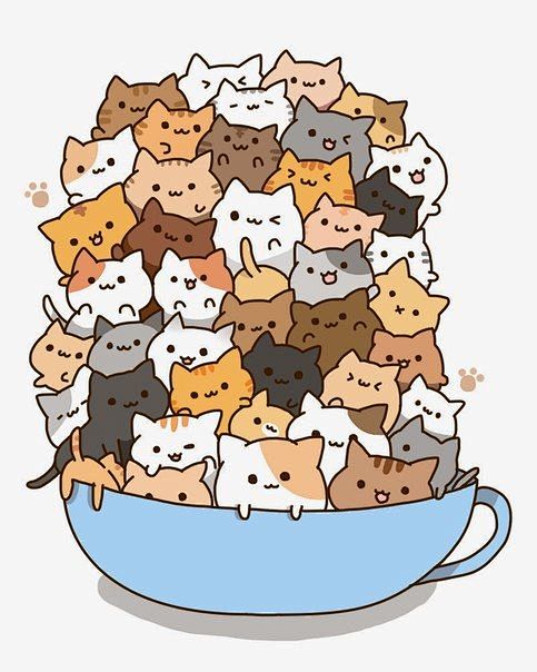 喵咪趣图，图自网络 #猫咪# #可爱# ...