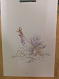 #一花一草一朝夕##多肉植物##原画#