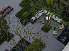 陈蕾O00采集到展示区景观