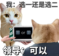 糖果NO草莓味采集到摄影+头像