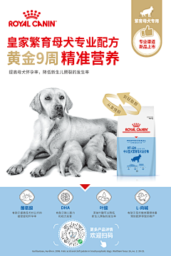 hoo123采集到工作记录